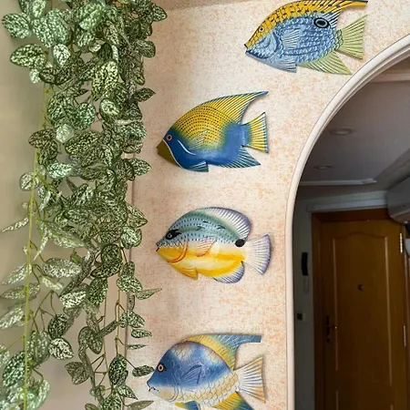 Beachfront With Garage